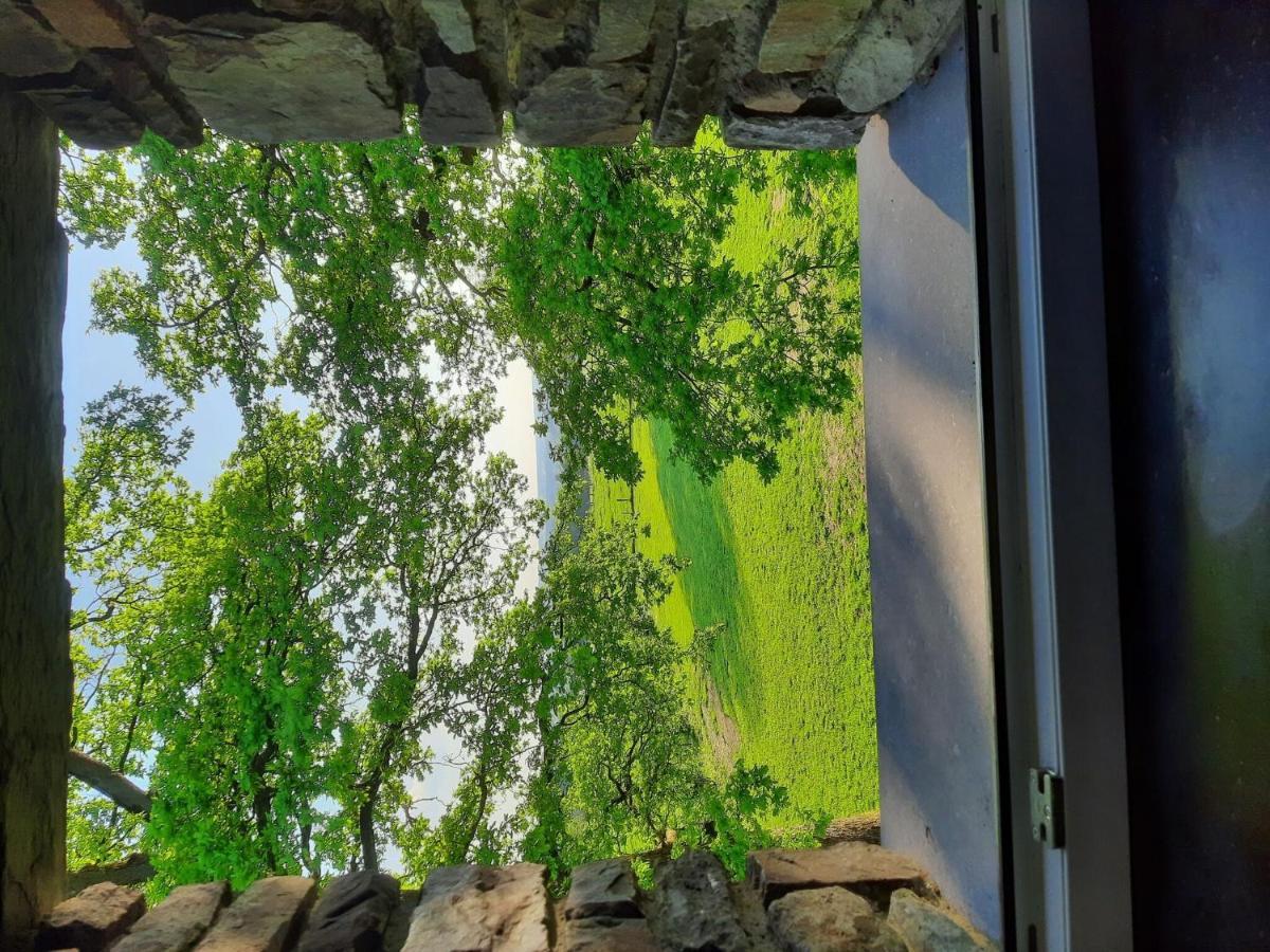 Very Spacious House With Sauna Spa And Countryside Views Gouvy Dış mekan fotoğraf